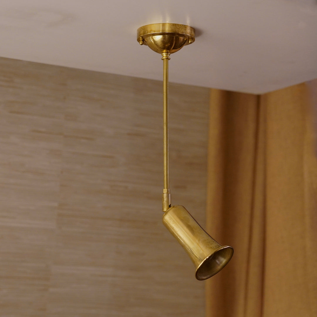 Belle Articulating Pendant